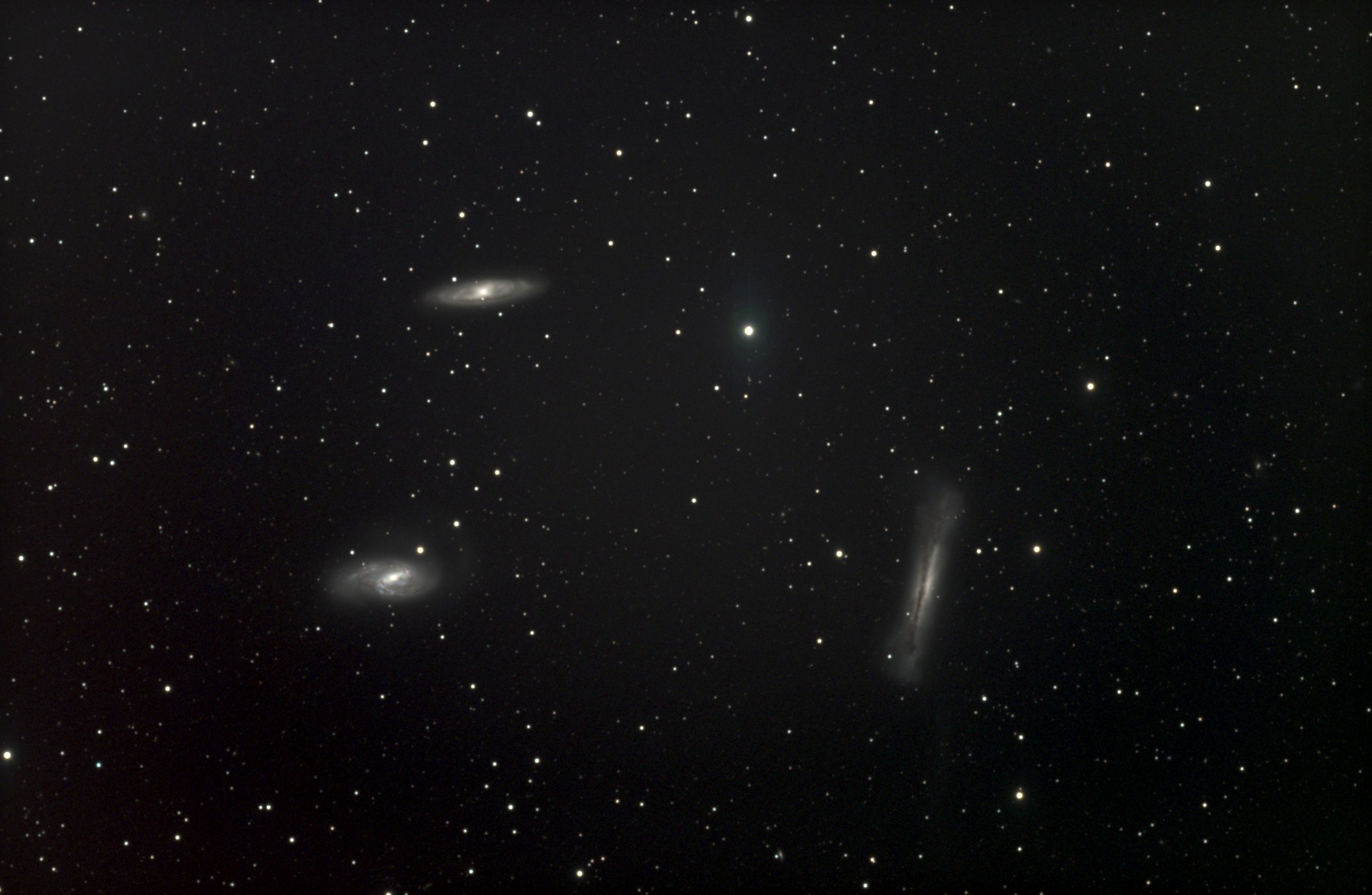Leo Trio