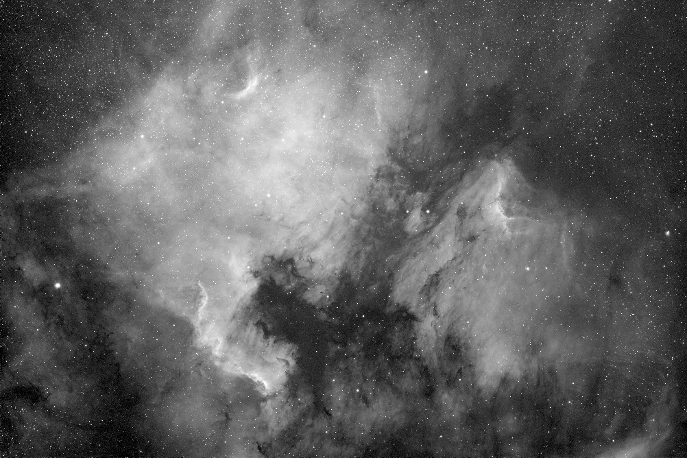 North American and Pelican