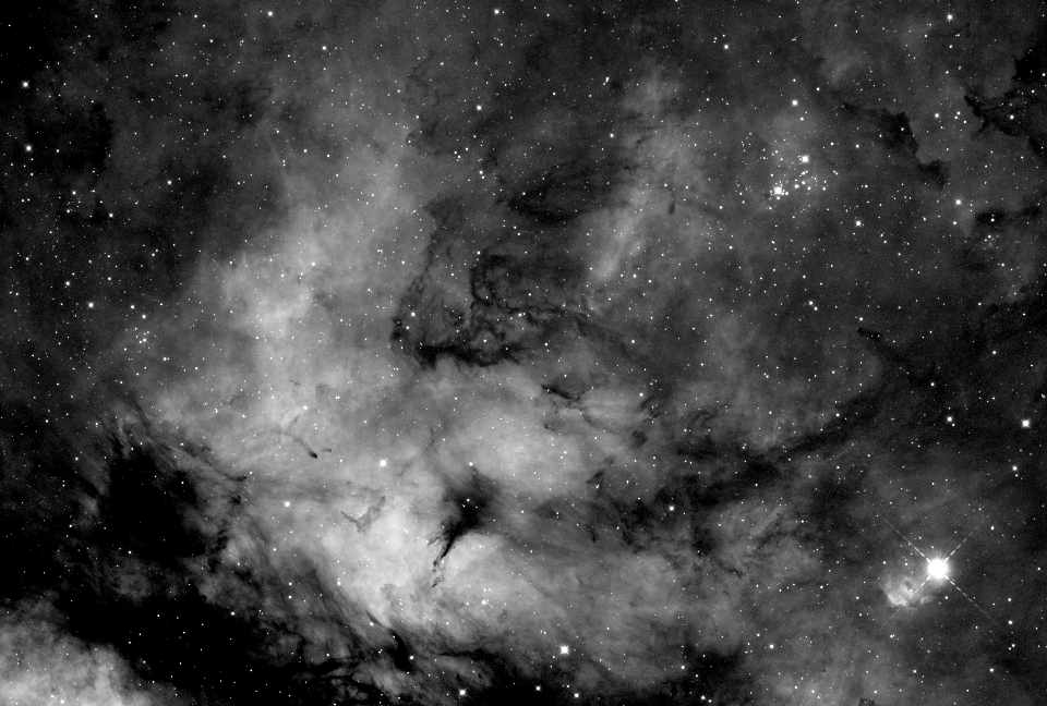 The heart of Cygnus