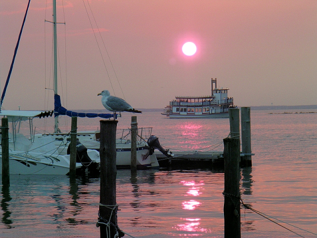 Sittin on the Dock of the Bay