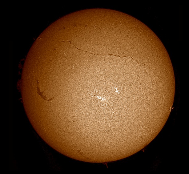 full sun !