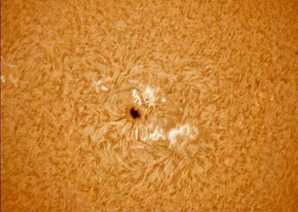 sunspot in h-alpha
