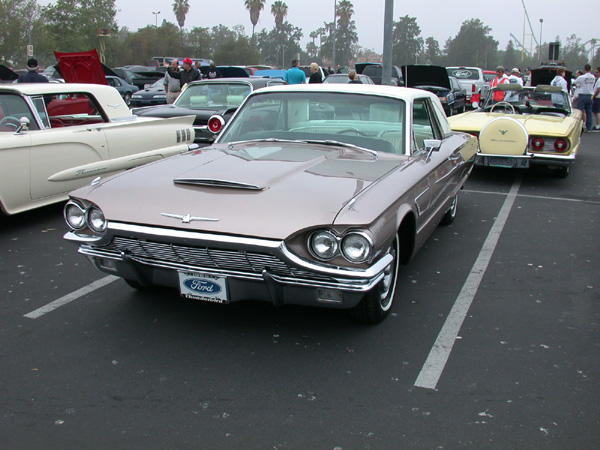 Nationl Bird of the USA