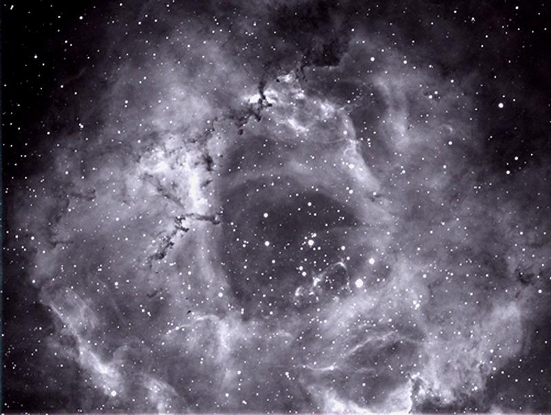 Rosette