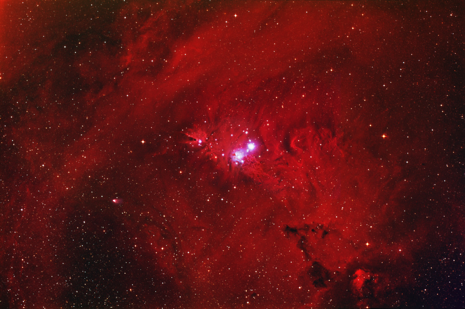 Cone Nebula Region