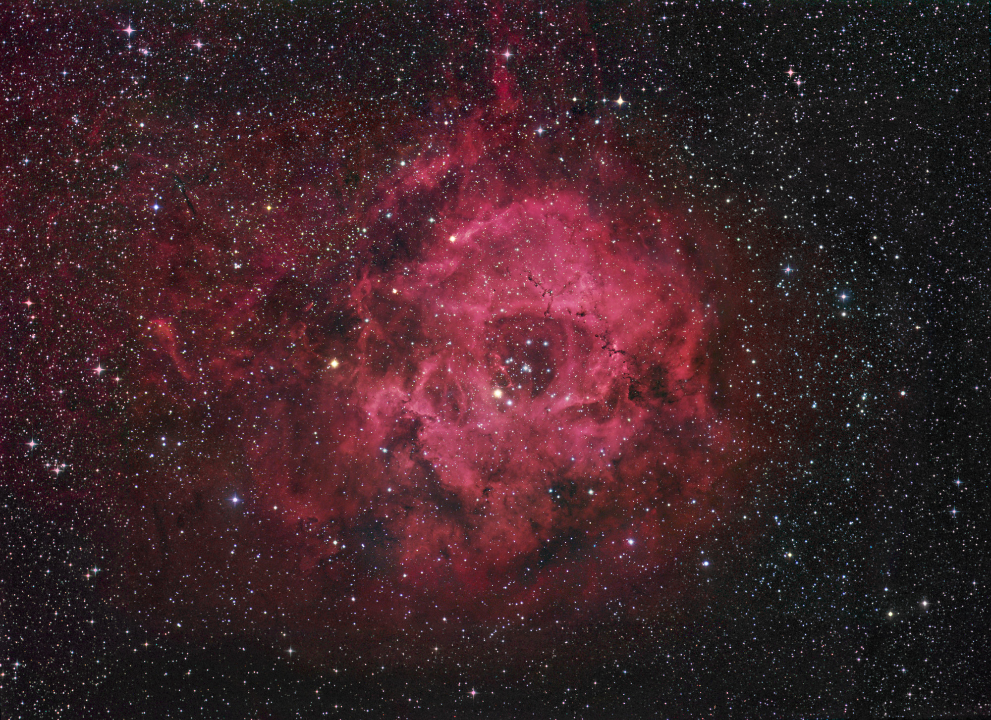 Rosette