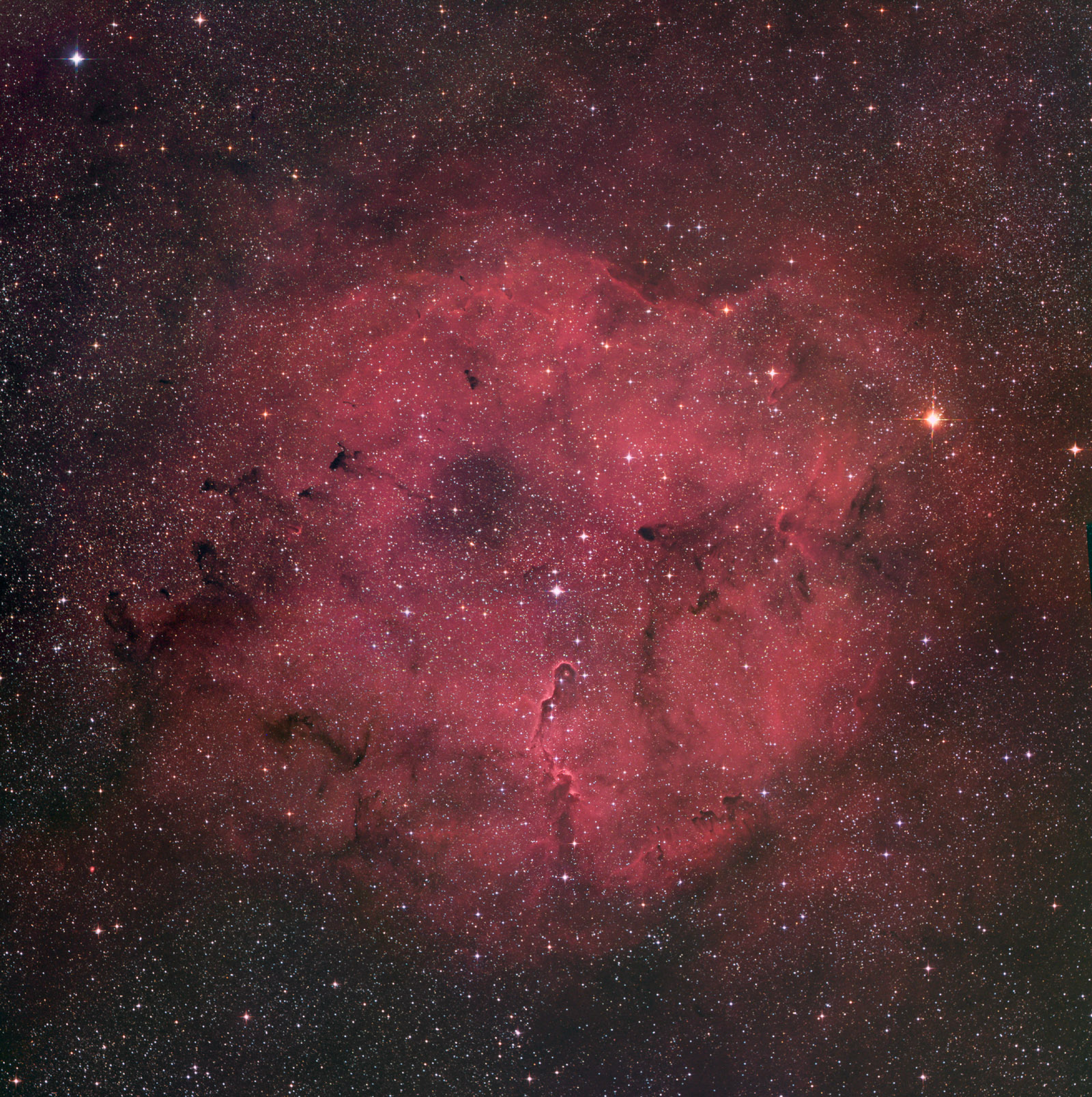 IC1396 Mosaic