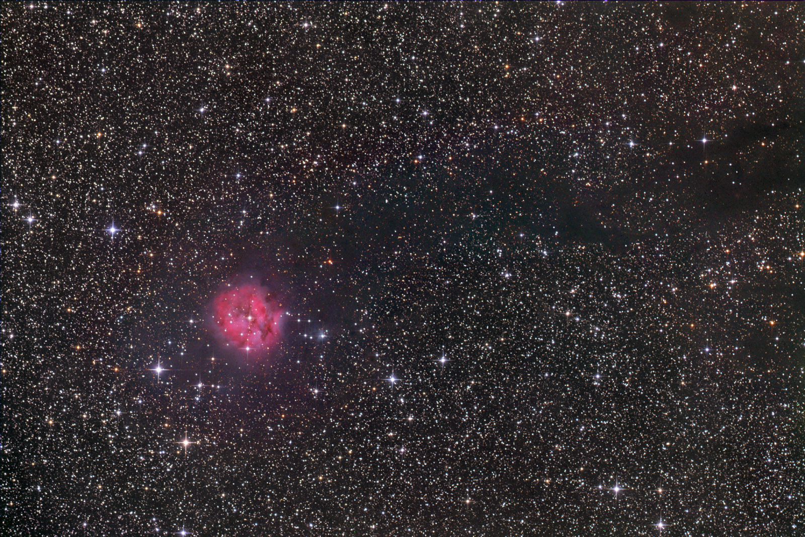 Cocoon Nebula wide