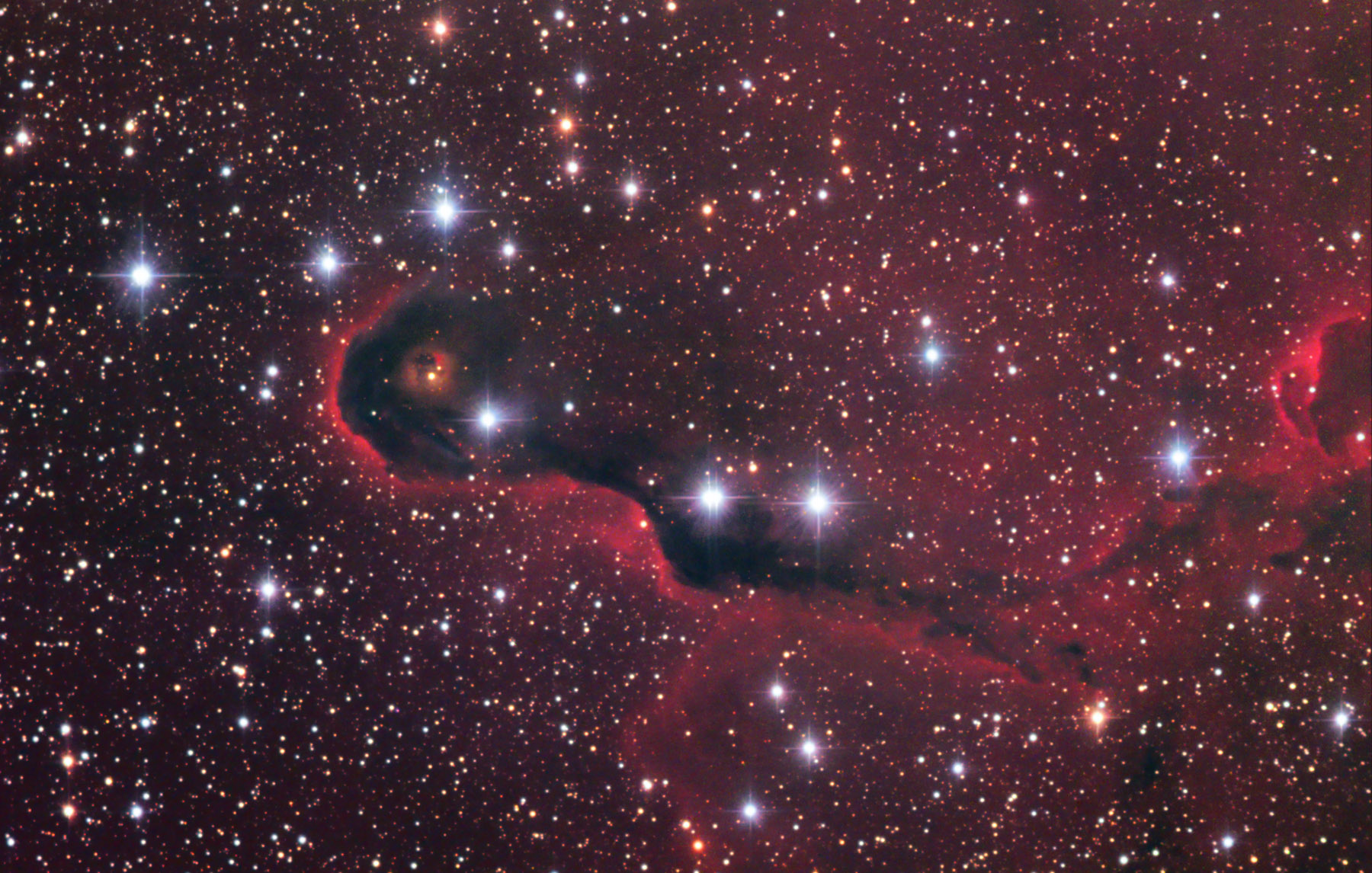 VDB 142