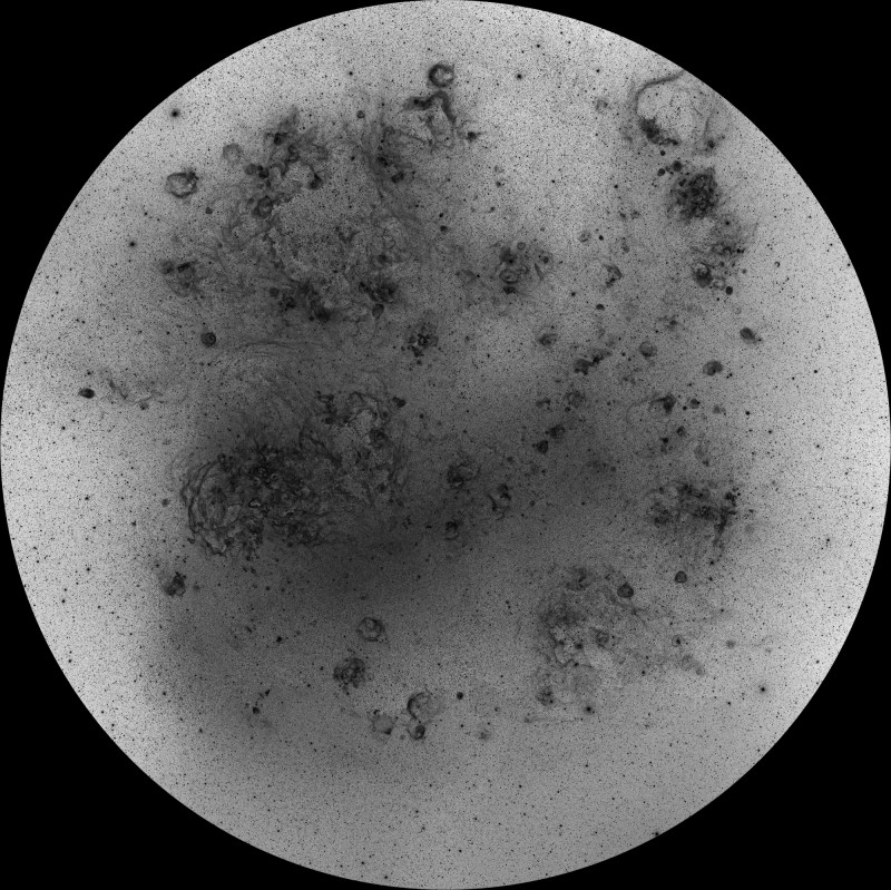 LMC Hydrogen Alpha