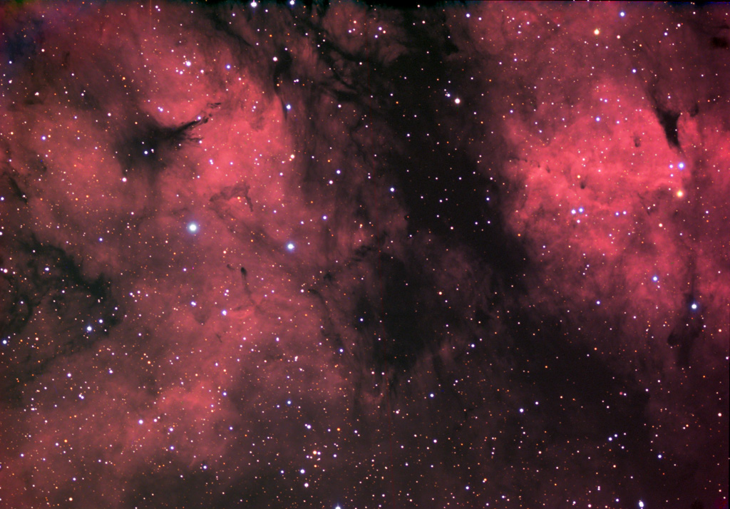 LDN889 in Cygnus