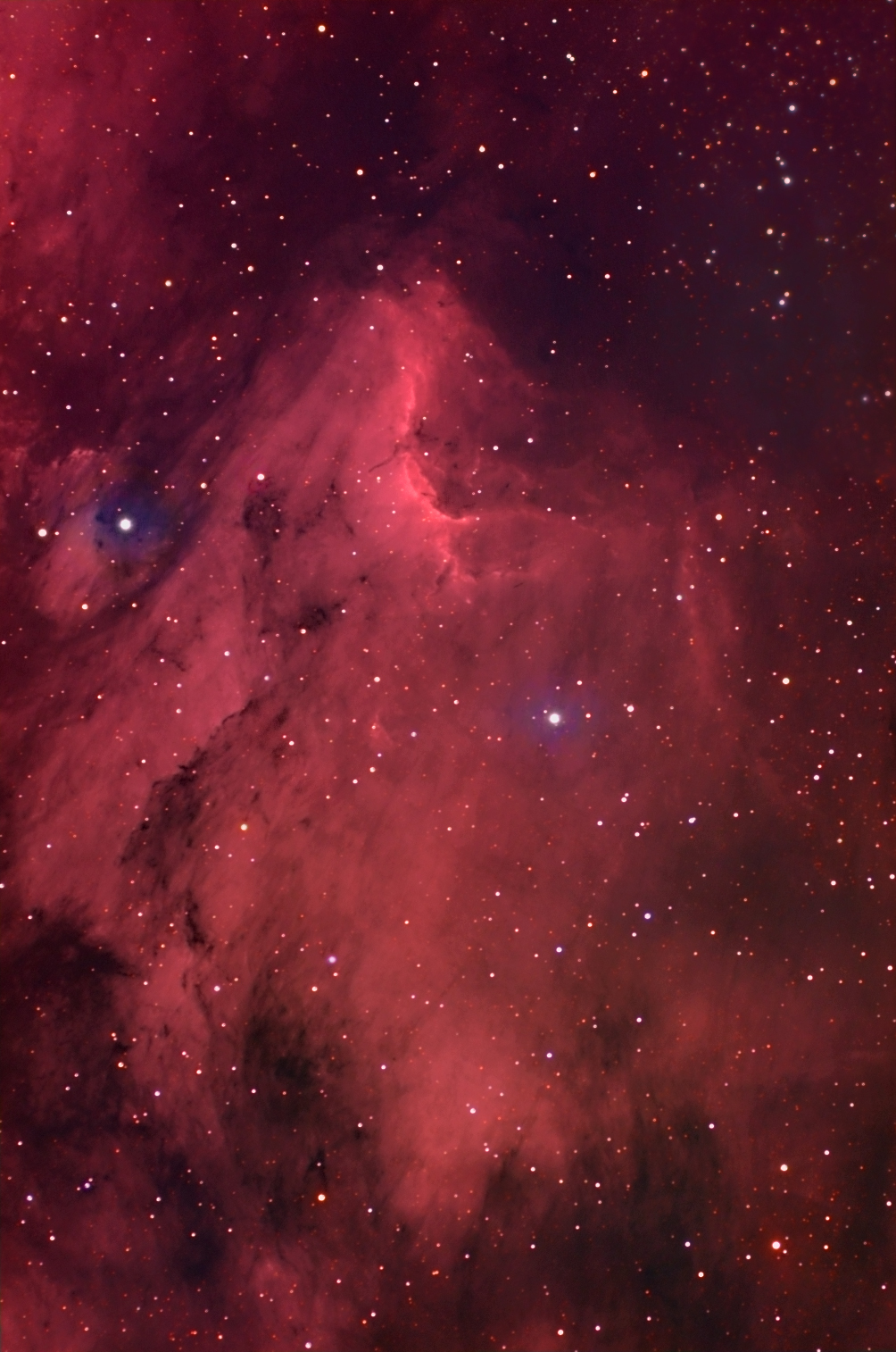 Pelican Nebula