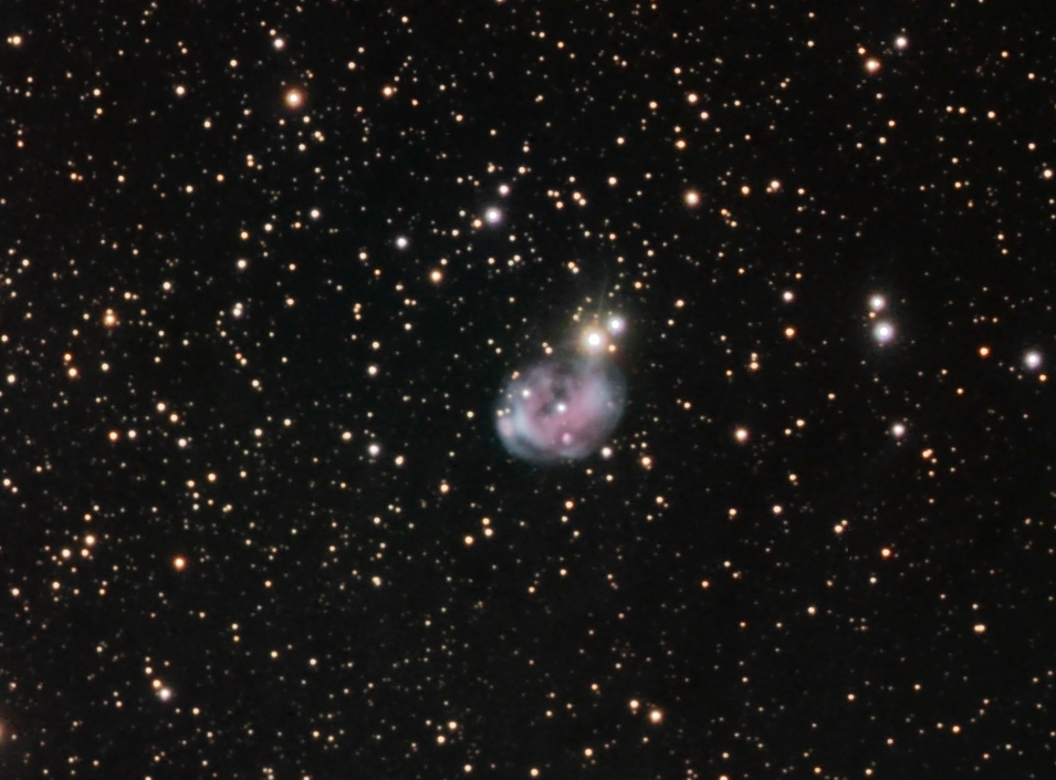 Fetus Nebula