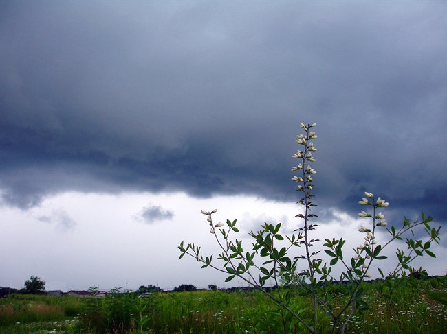 Prairie Storm