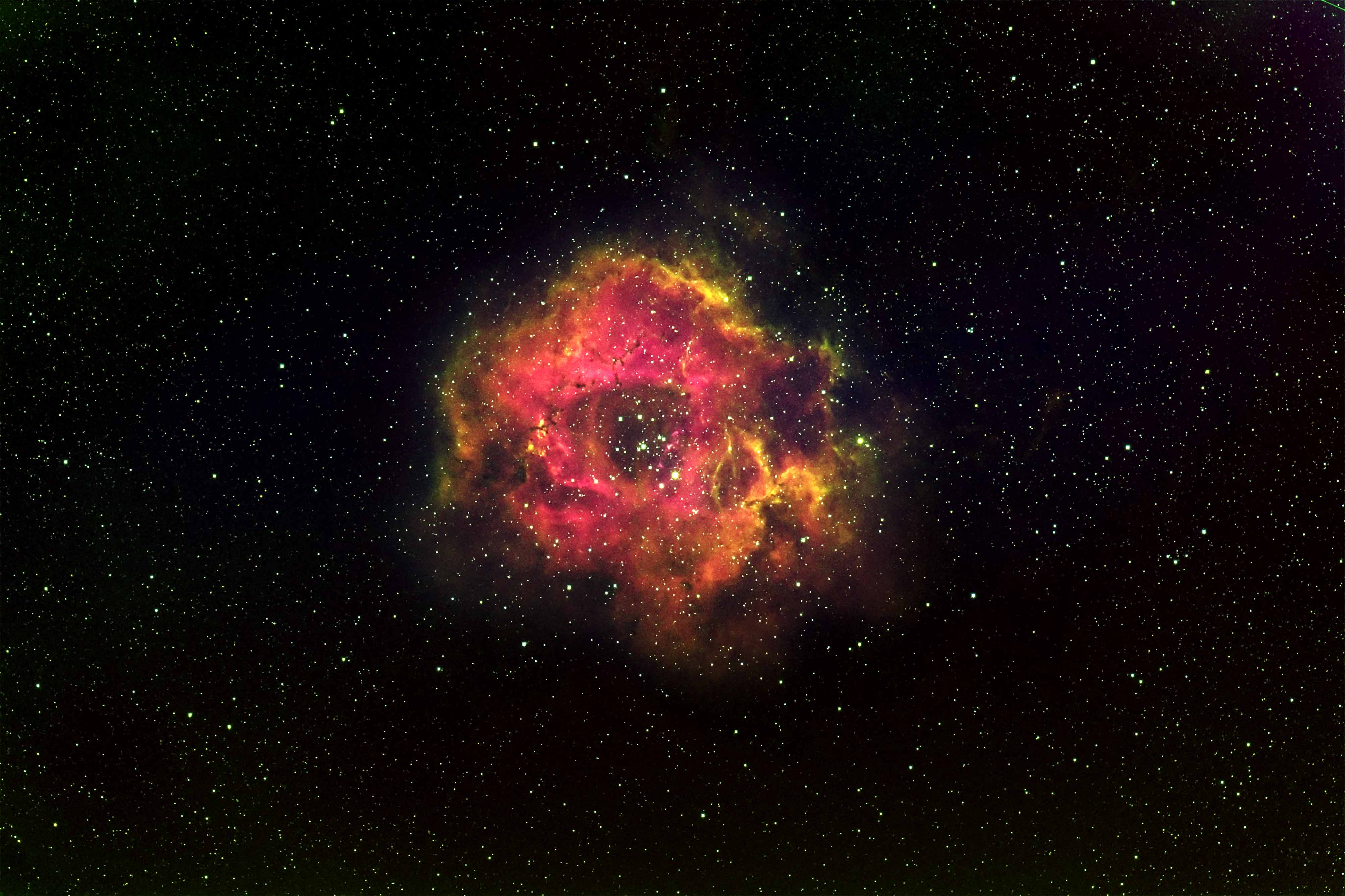 Rosette Narrowband