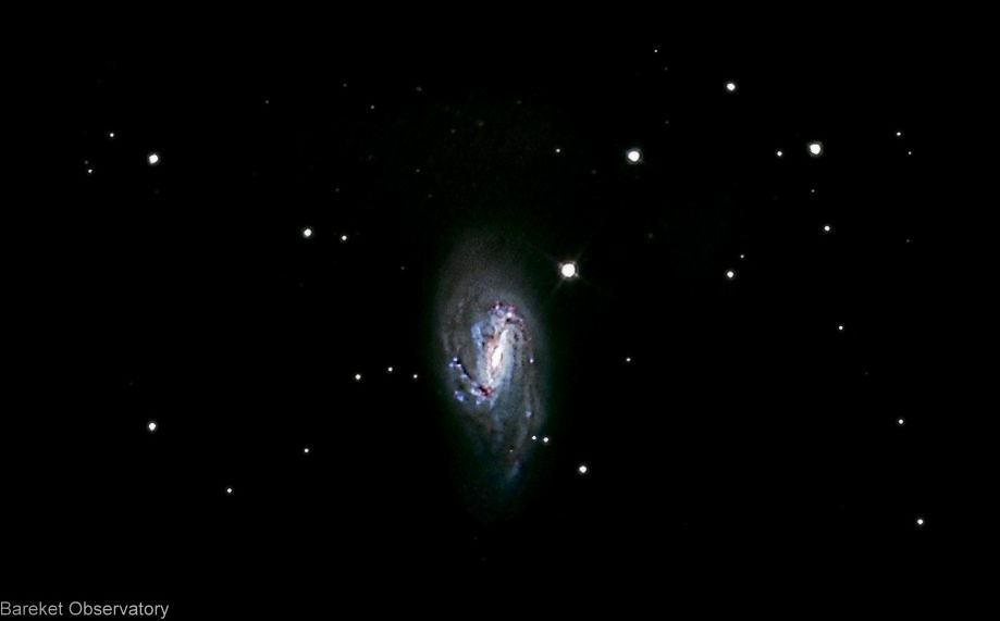 M66