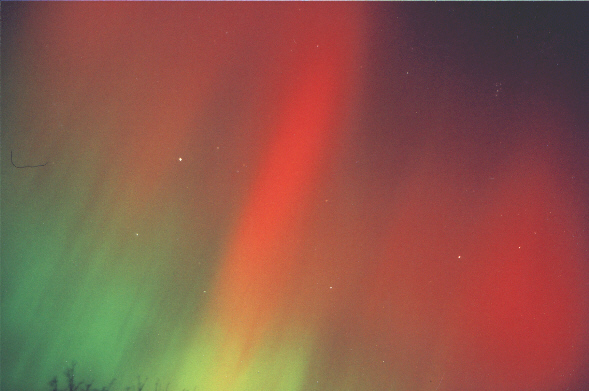 Northern Light