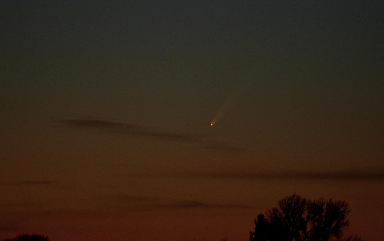 Comet McNaught