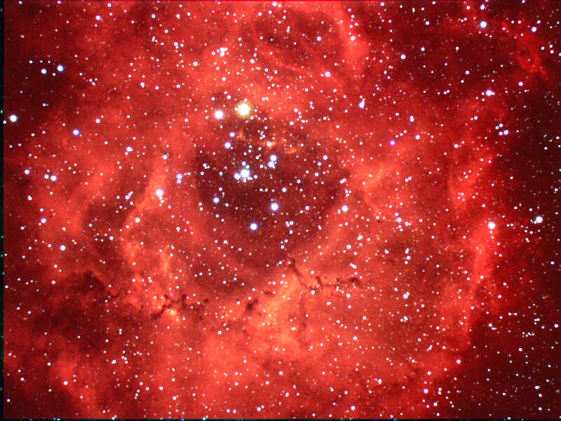 The Rosette Nebula-Halpha