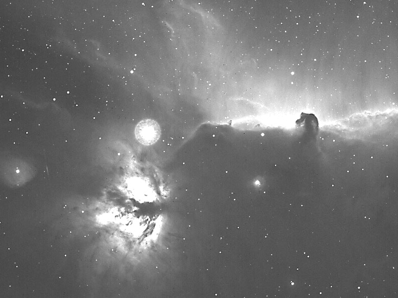 NGC 2024 H-alpha