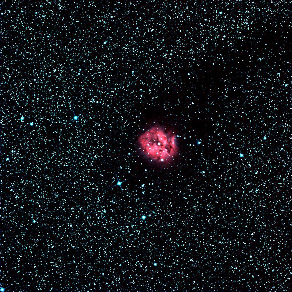 IC5146 The Cocoon Nebula