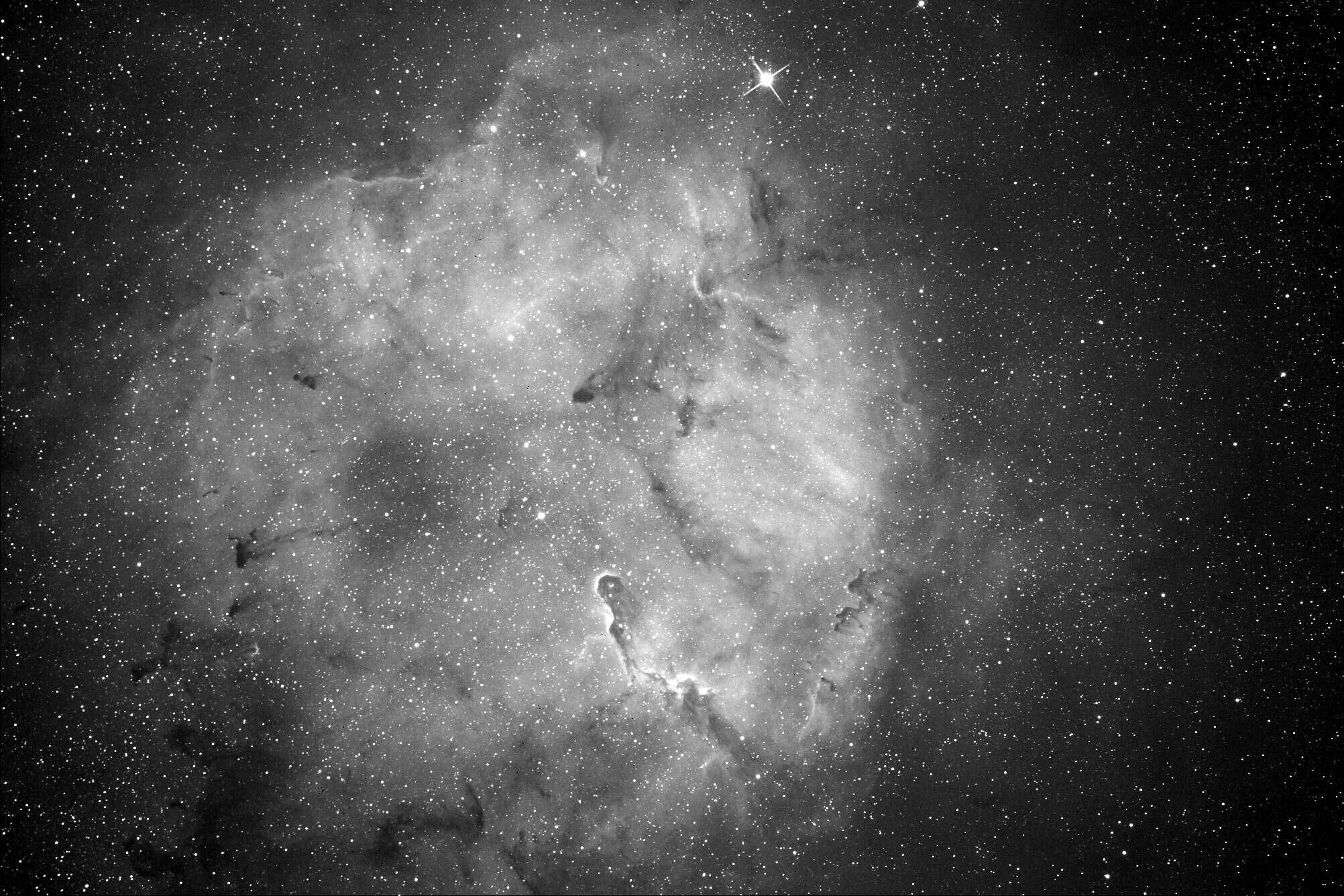 IC 1390 Wide Field