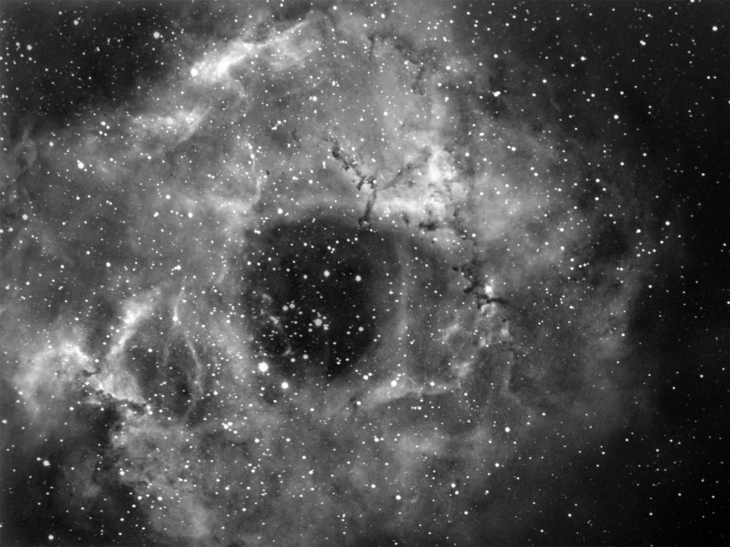 Rosette First Light