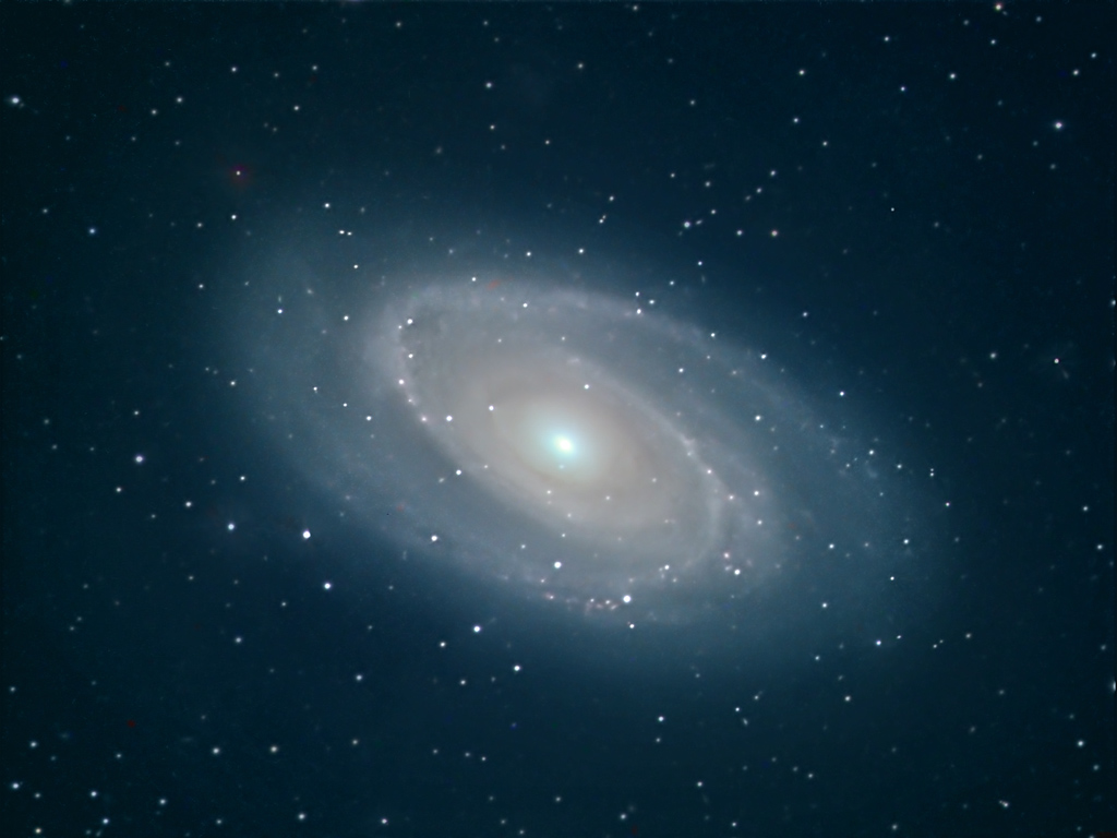 First M81