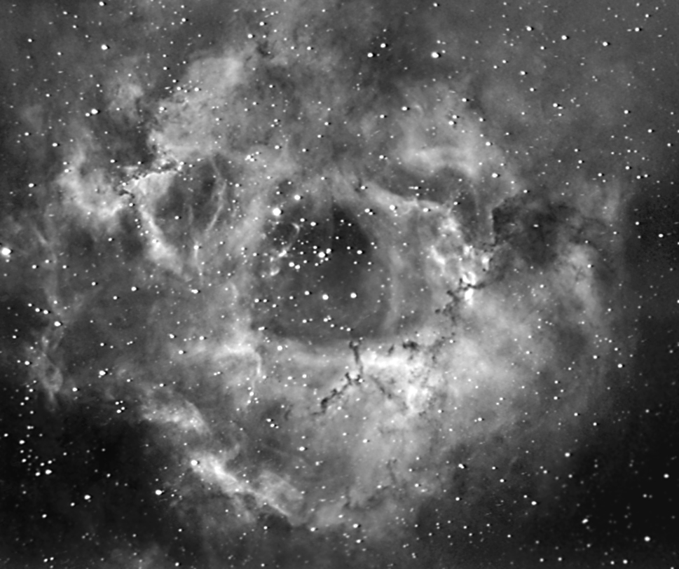 Rosette Nebula - HA
