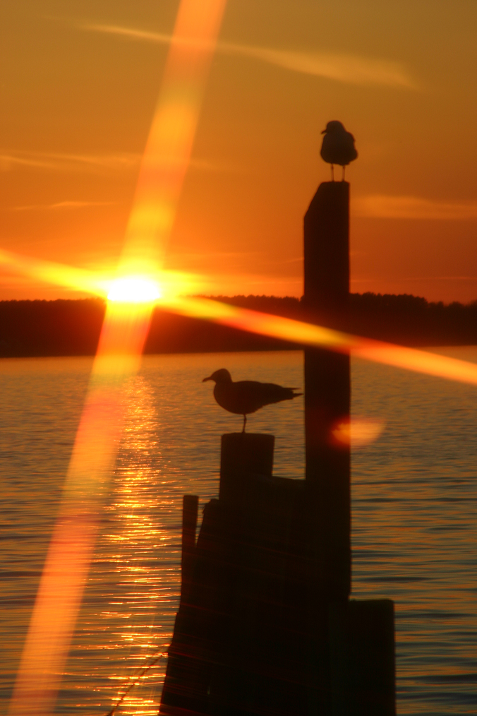 Sunset over the Potomac