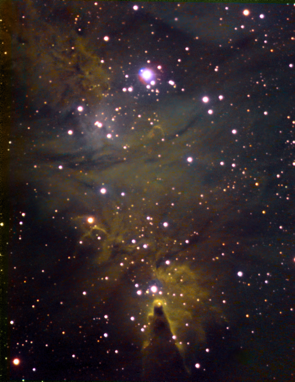 NGC2264 in False Color