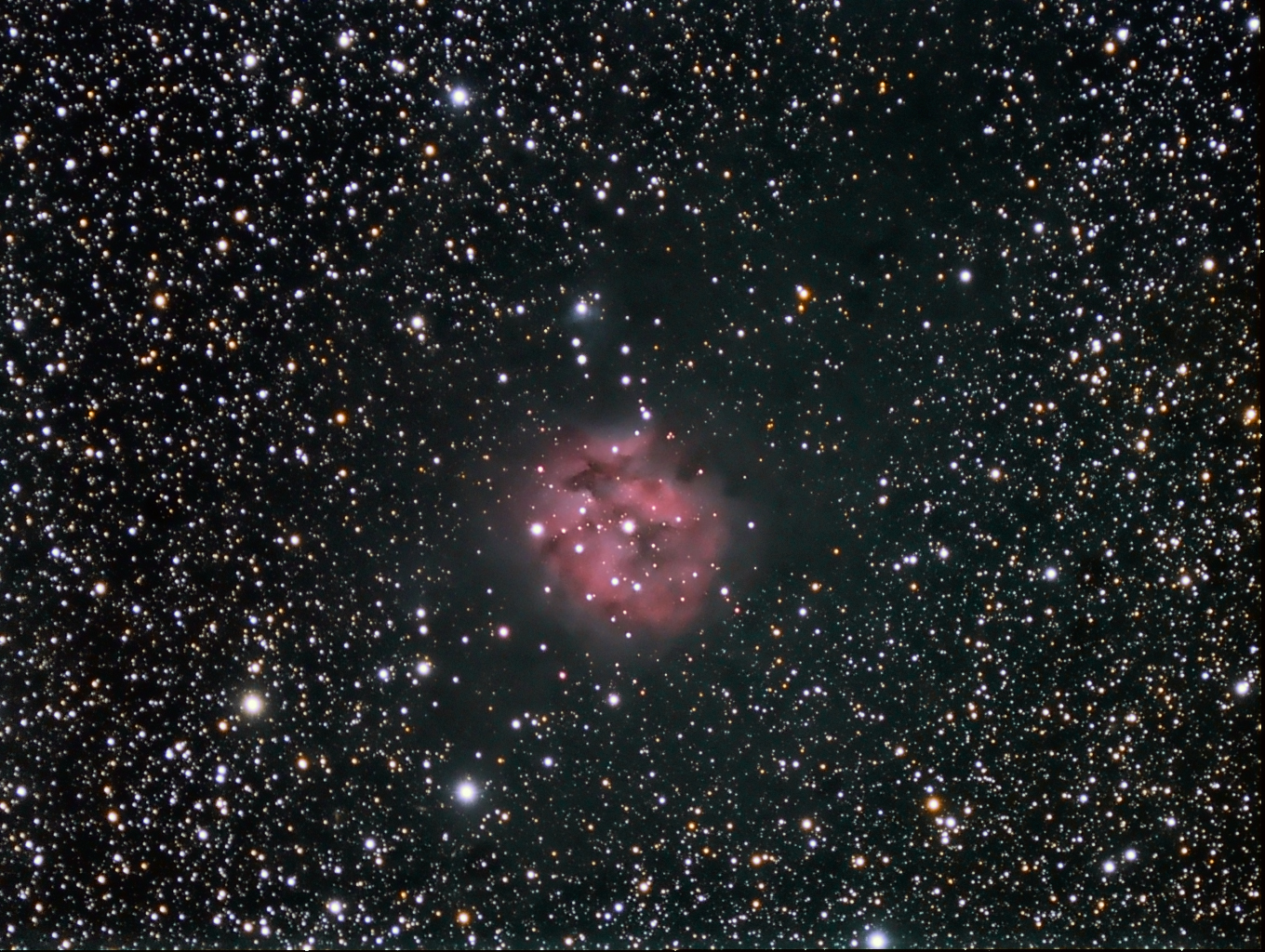 Cocoon Nebula