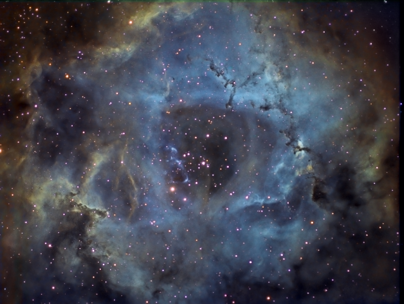 Rosette Narrowband - DSI Pro III