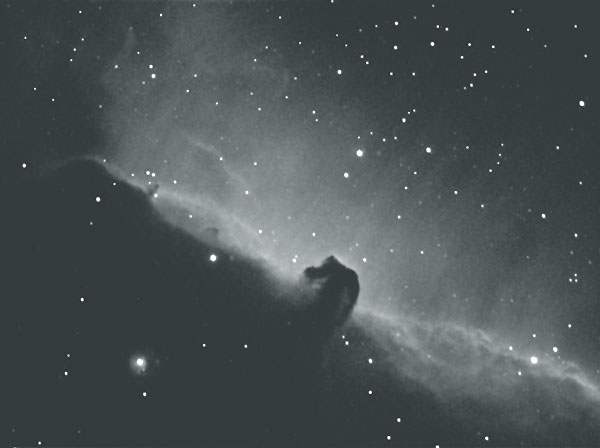 Horsehead