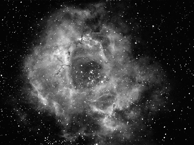 Rosette nebula