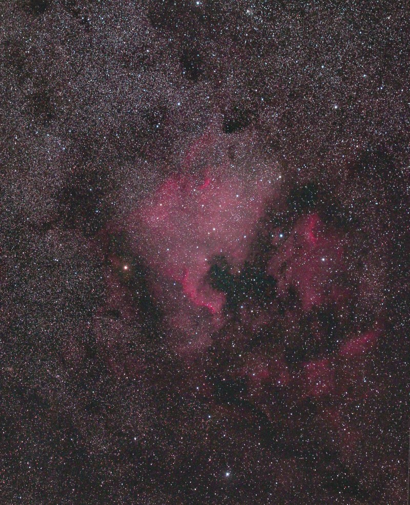 North American and Pelican Nebulas