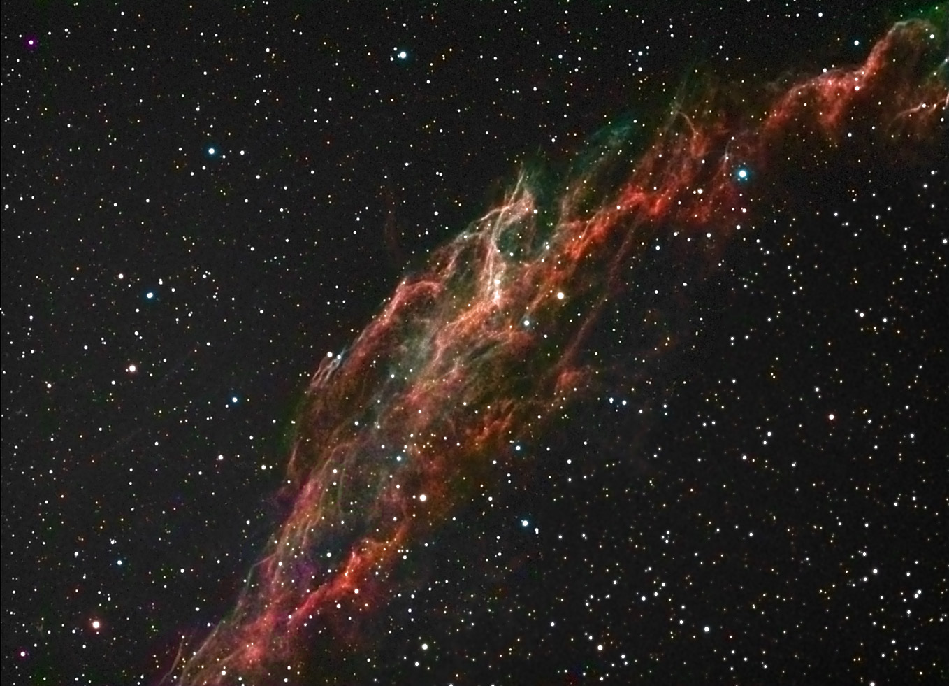 A close look at the Eastern Veil