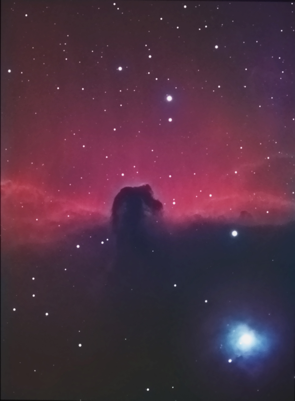 The Horse