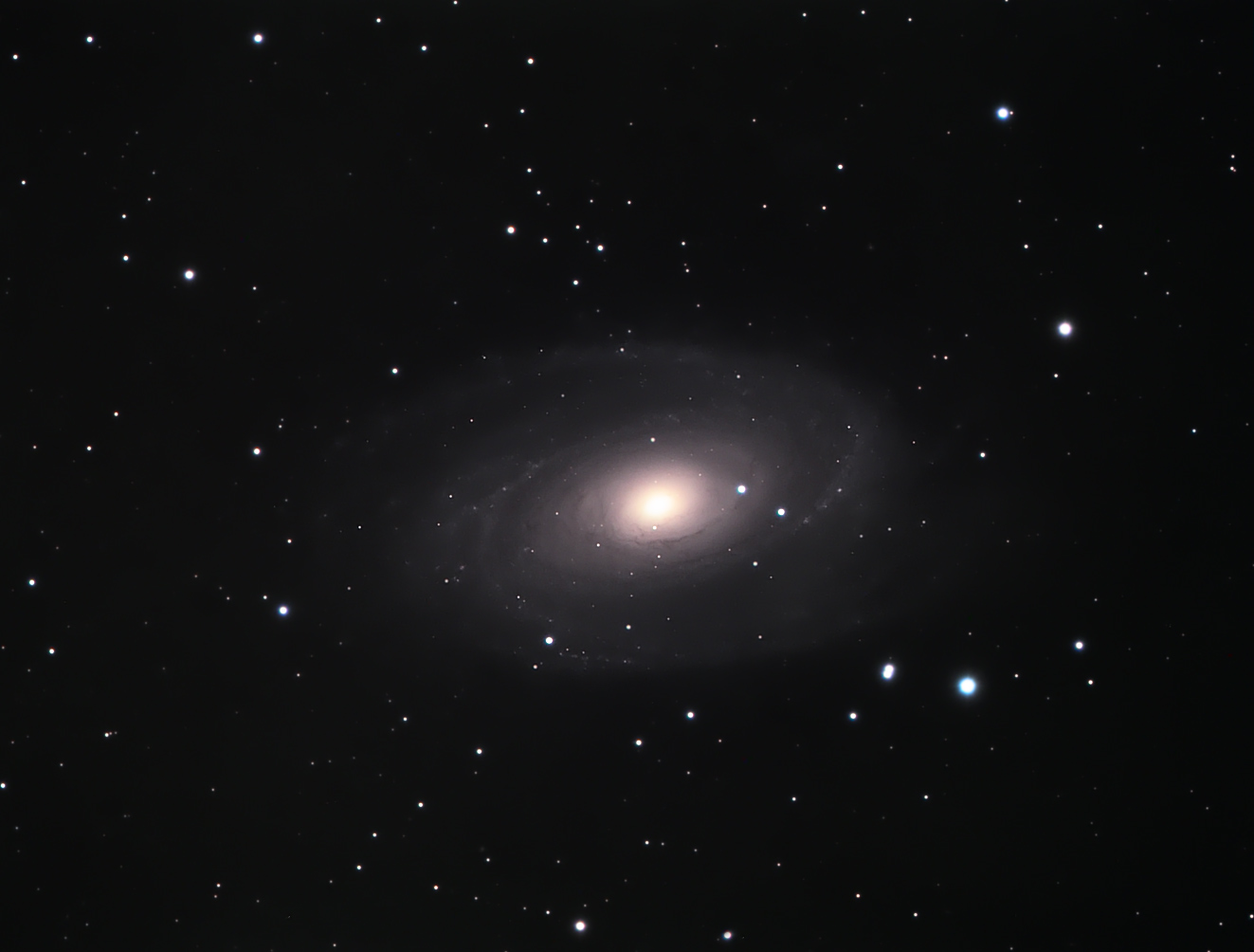 M81 from the city!
