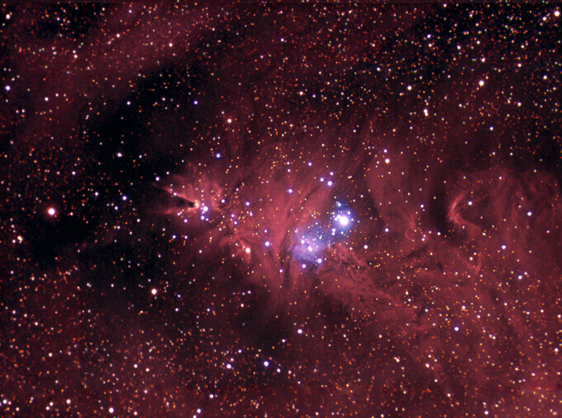 The Christmas Tree Nebula