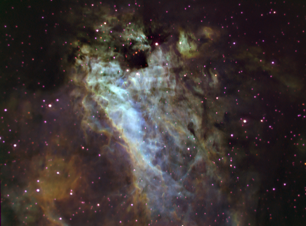 M17 - E-Line Swan