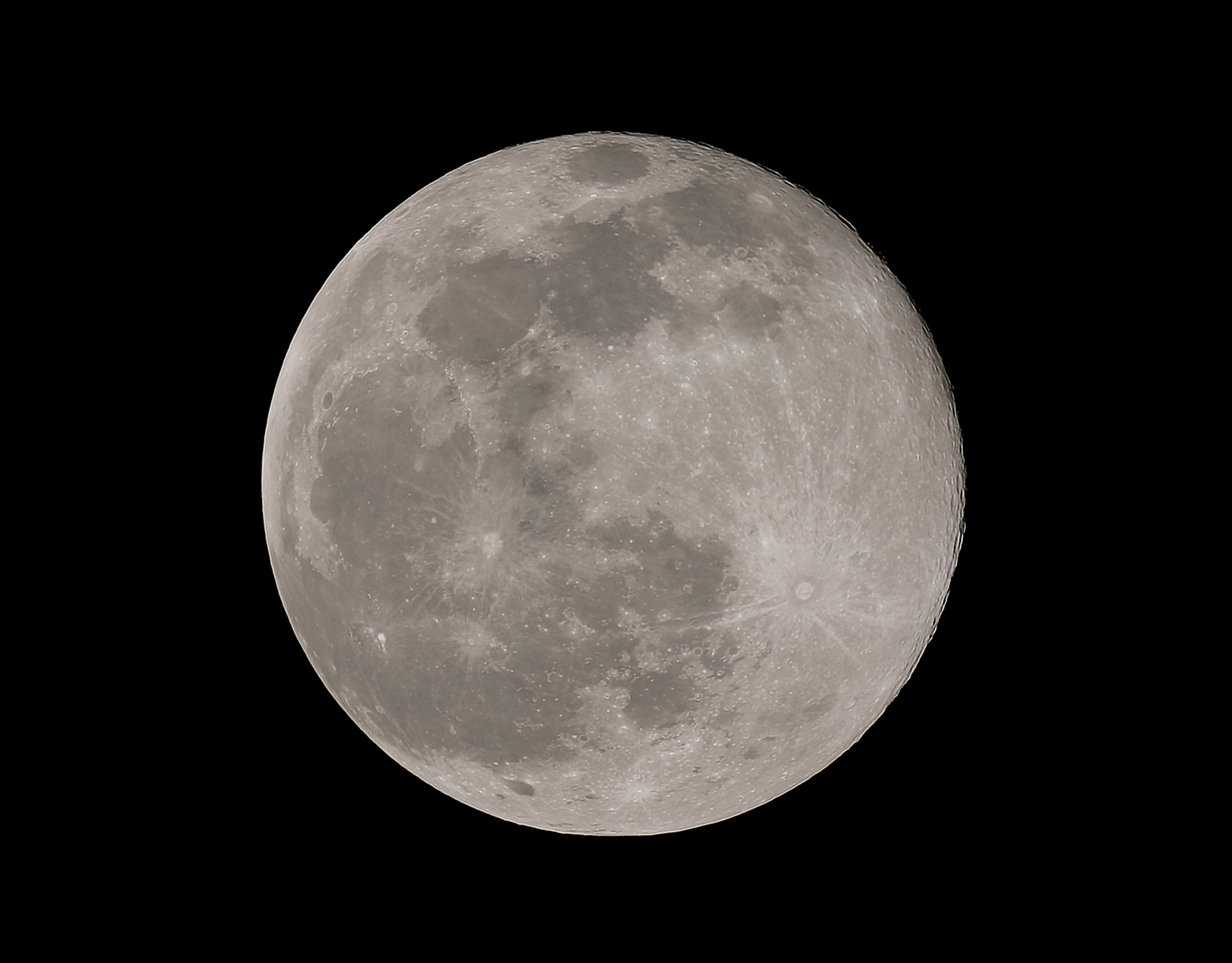 Rebel Full Moon