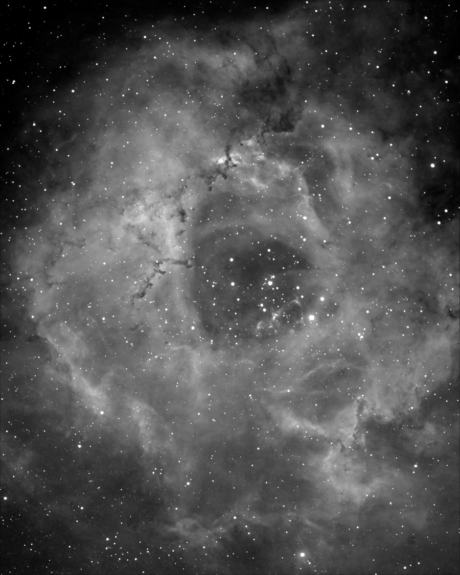 Rosette in Ha