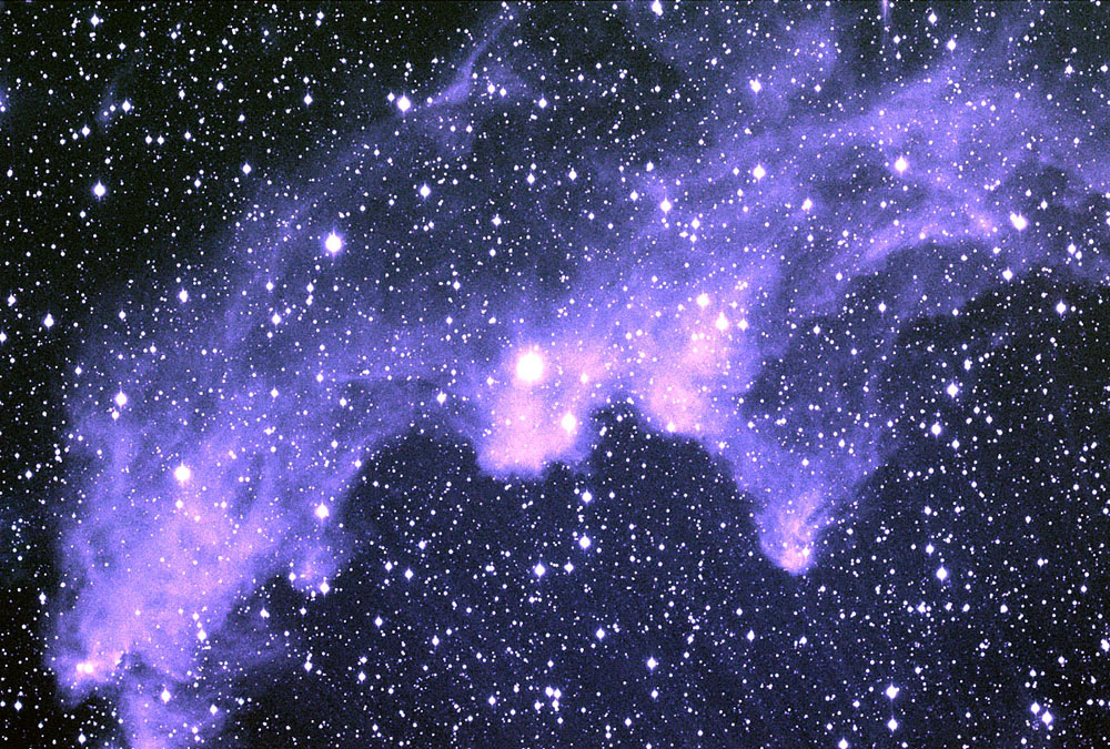 Witchhead Nebula