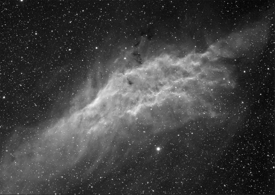 California Nebula
