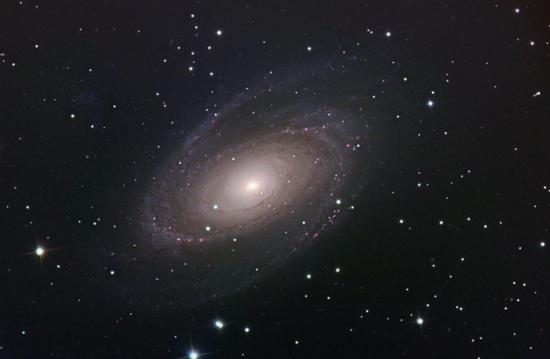 M81