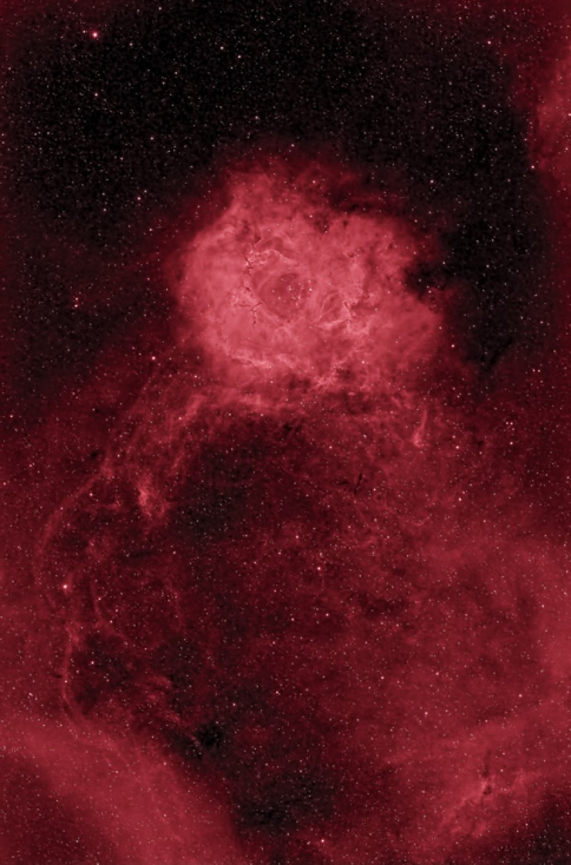 Rosette Nebula with Stem