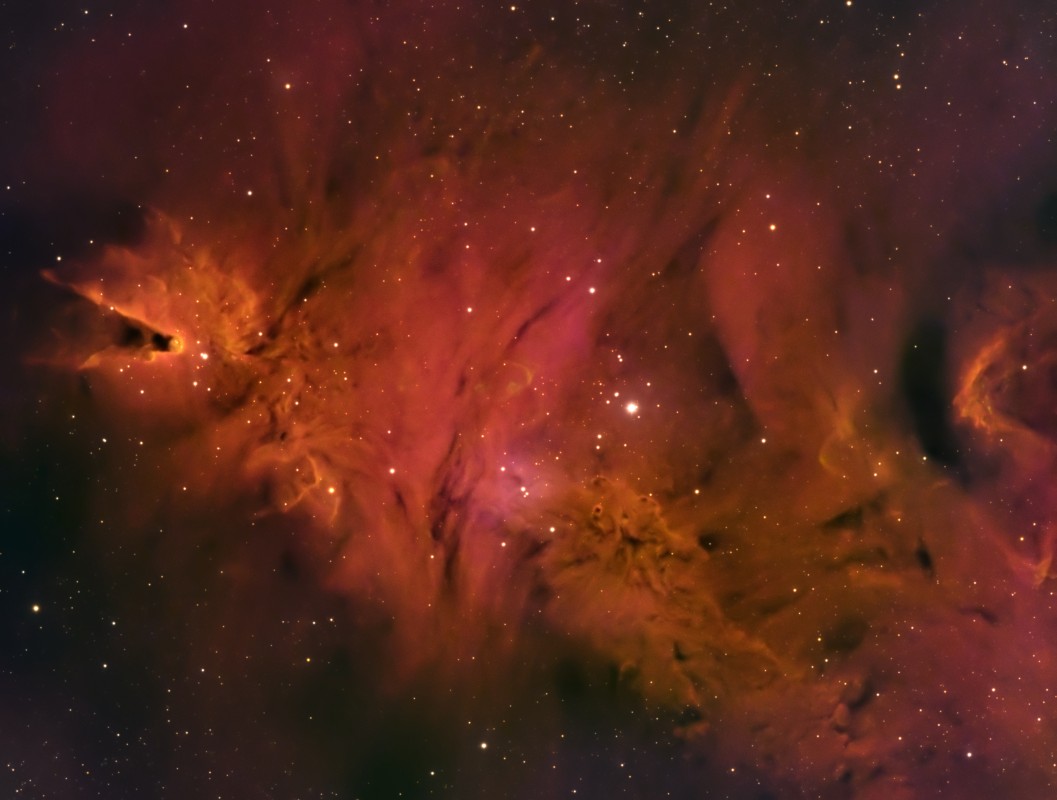Cone Nebula