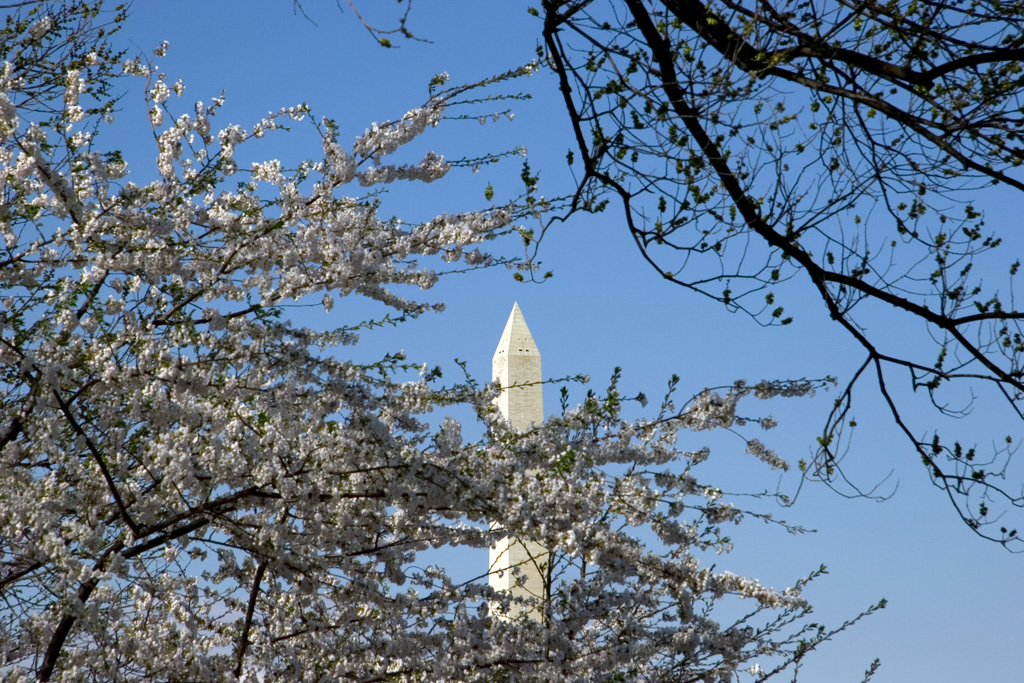 Washington Monument framed