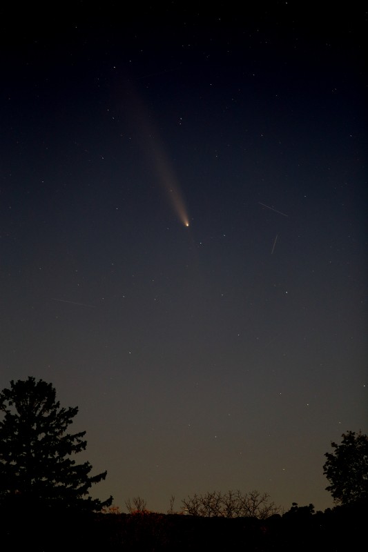 Comet C/2023 A3